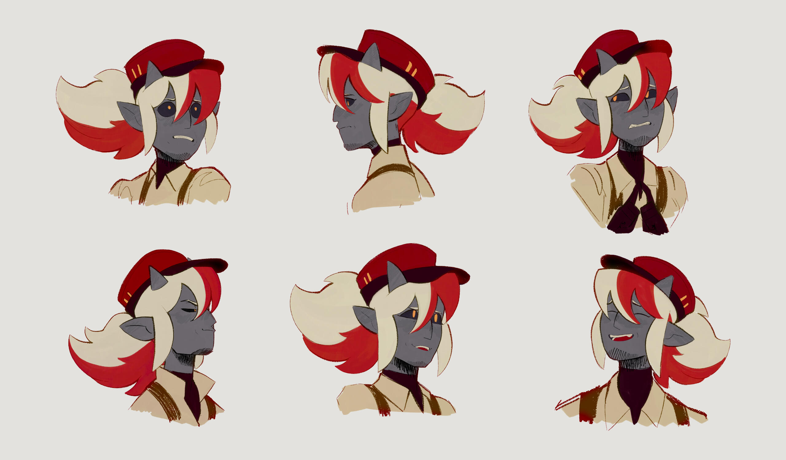Cass Expression Sheet